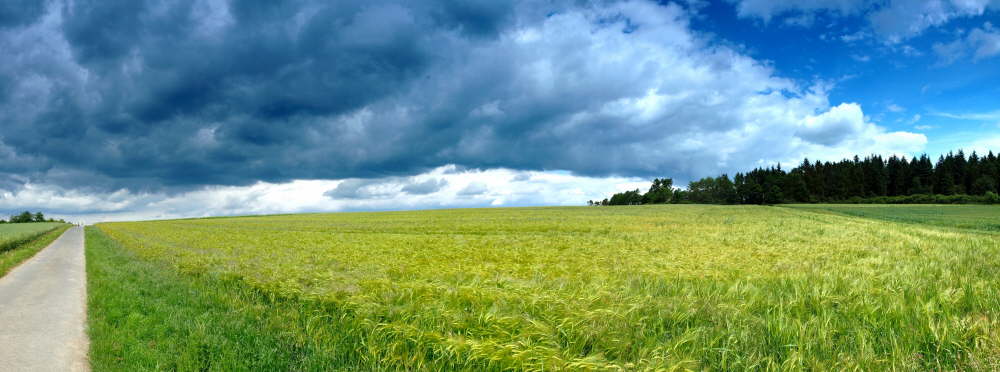 Das Gewitter naht